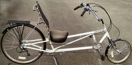 Easy racer recumbent for sale online