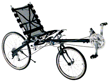 haluzak recumbent