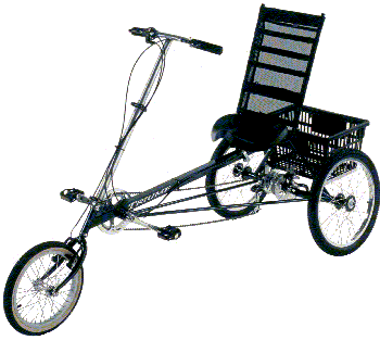 Haluzak Triumf Recumbent Trike