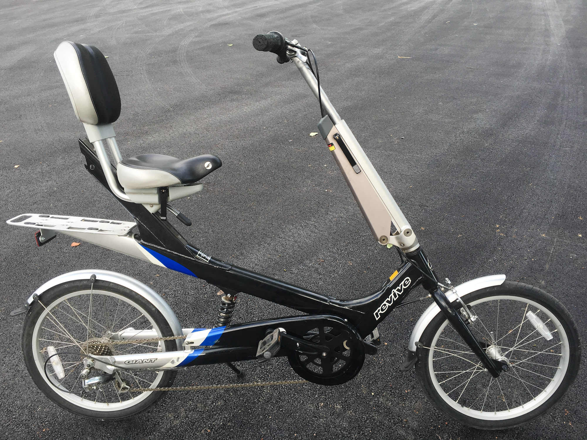 Giant Revive Recumbent Bicycle Sale - Revive