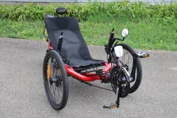 Used Catrike Pocket - front view